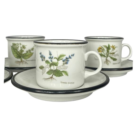 ITALIAN Set (6) Espresso Tea IPA CUPS & SAUCERS Demitasse Botanic Garden Flowers - Picture 6 of 14